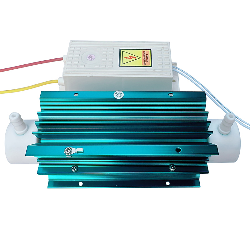 24031511.jpg 10G-4.jpg