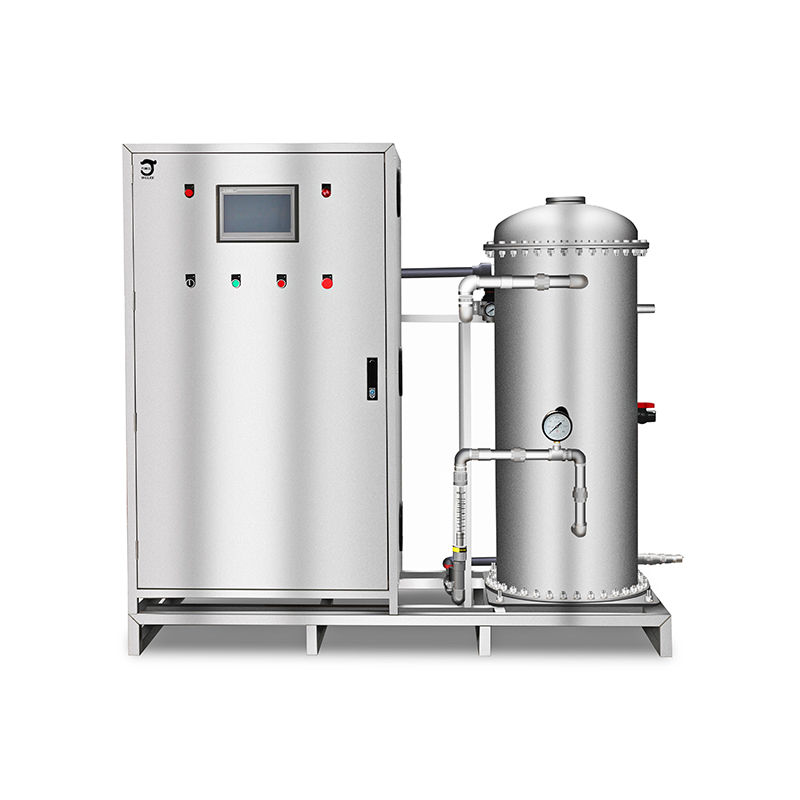 1KG/H Ozone machine for water treatment industry