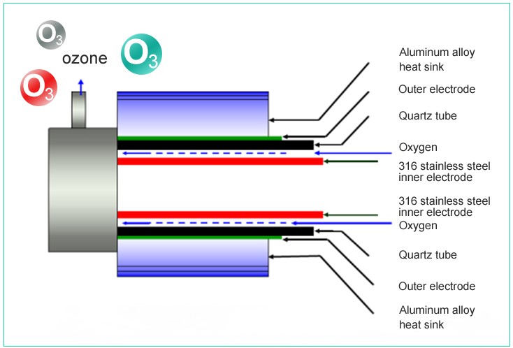 36215708.jpg 1111.jpg